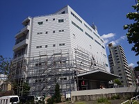 g.jpg
