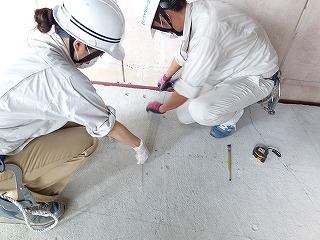 P2040349.jpg